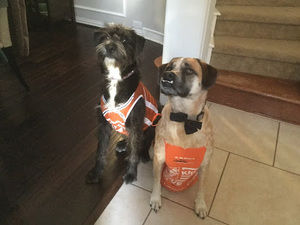 Meet your Posher, Sophia